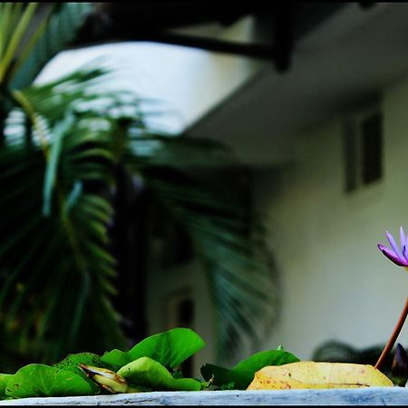 Mount Villa Dehiwala-Mount Lavinia Zewnętrze zdjęcie