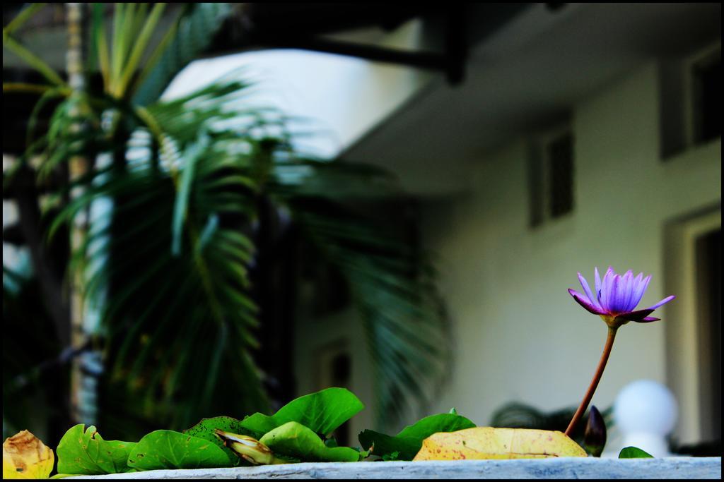 Mount Villa Dehiwala-Mount Lavinia Zewnętrze zdjęcie